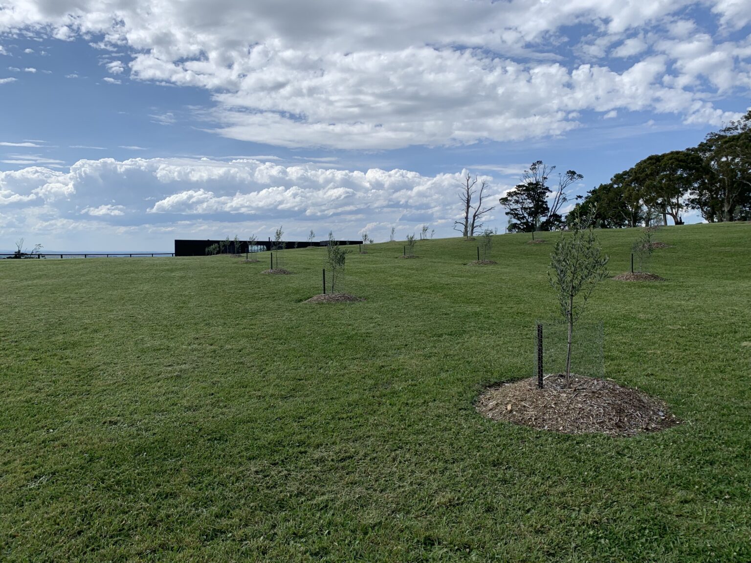 Video Tour Southern Highlands House Intermode